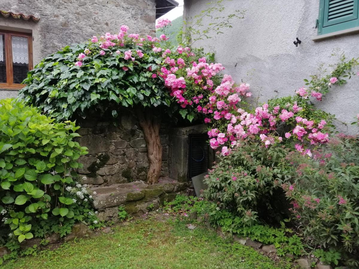 B&B Alle Ortensie Blu Sesta Godano Exteriör bild