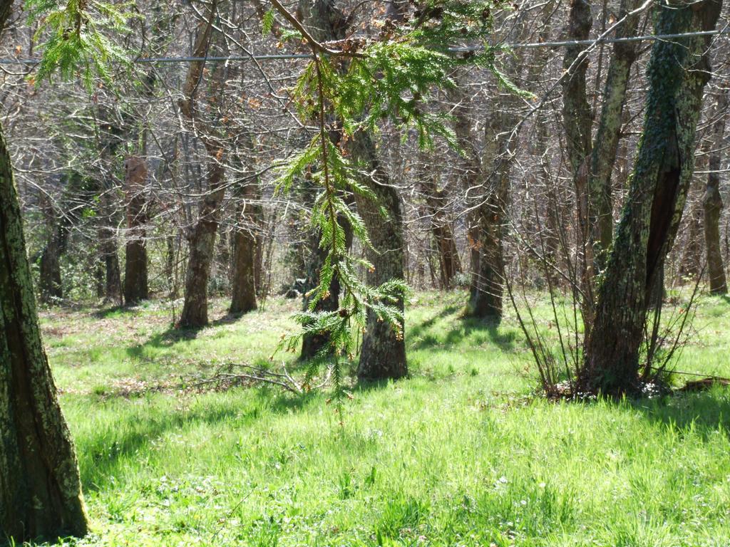 B&B Alle Ortensie Blu Sesta Godano Exteriör bild