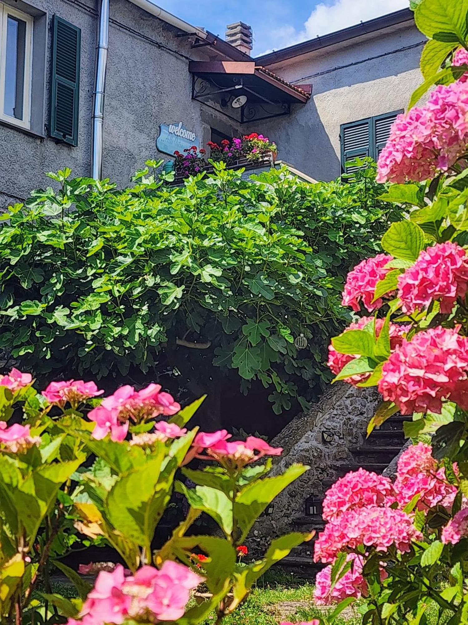 B&B Alle Ortensie Blu Sesta Godano Exteriör bild