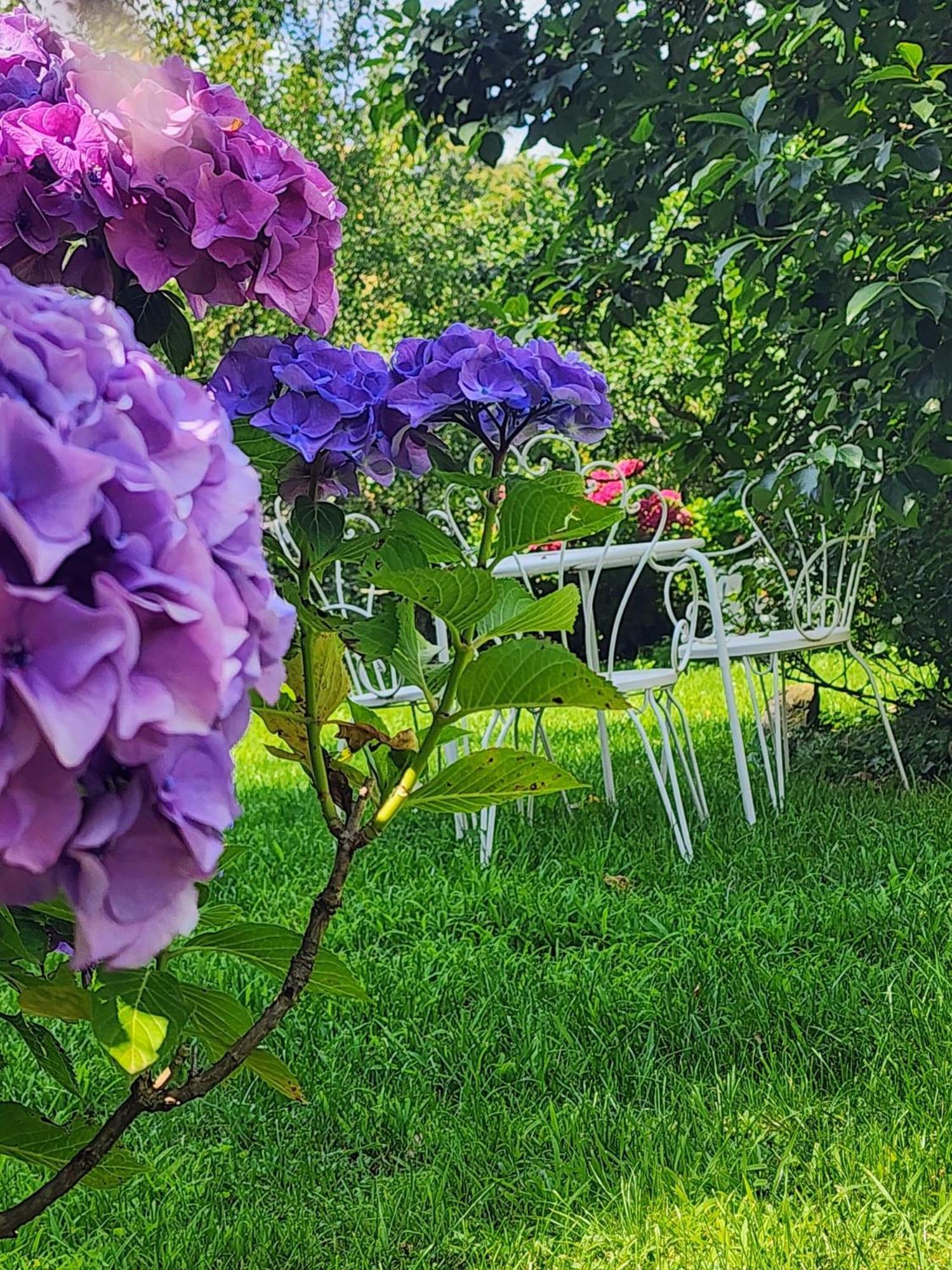 B&B Alle Ortensie Blu Sesta Godano Exteriör bild