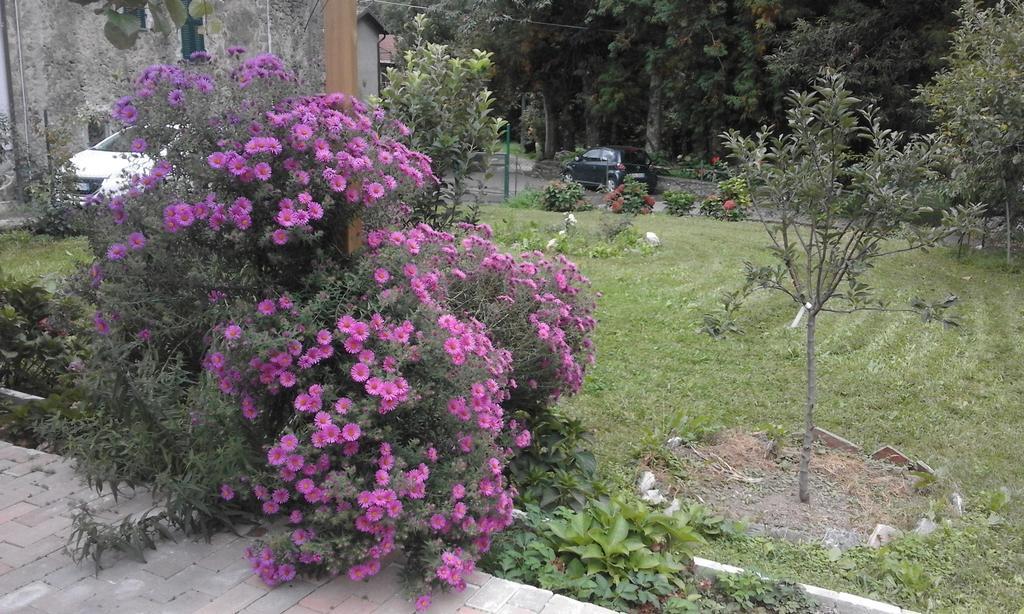 B&B Alle Ortensie Blu Sesta Godano Exteriör bild