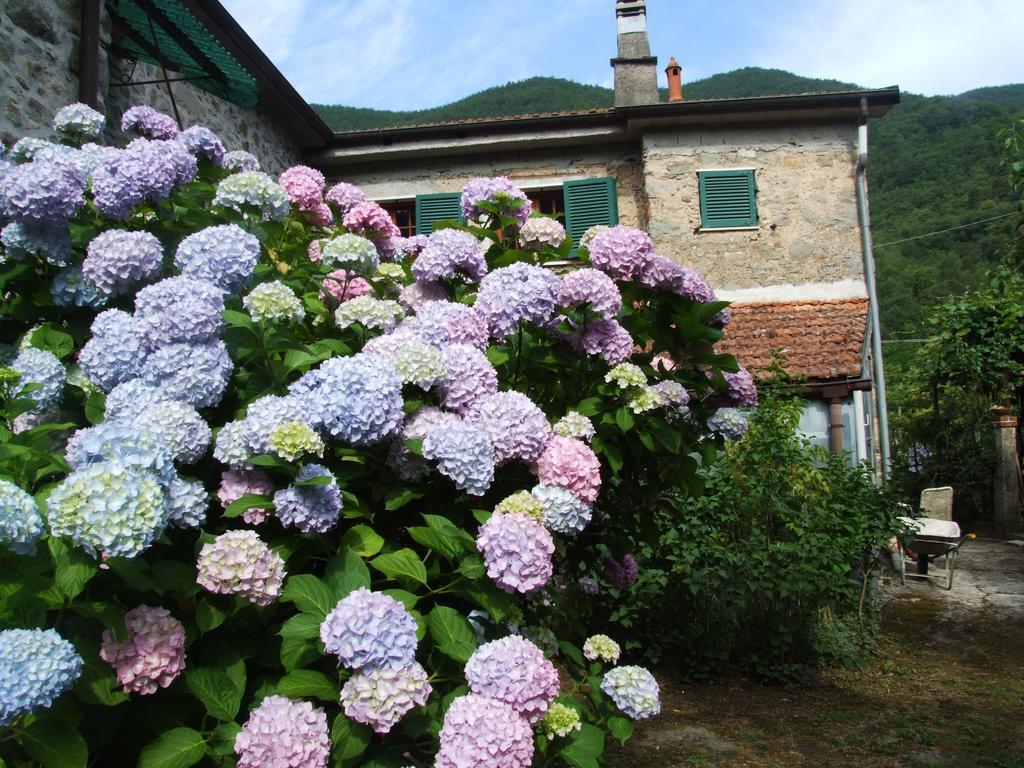 B&B Alle Ortensie Blu Sesta Godano Exteriör bild