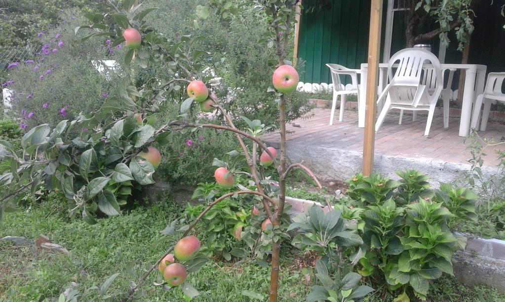 B&B Alle Ortensie Blu Sesta Godano Exteriör bild