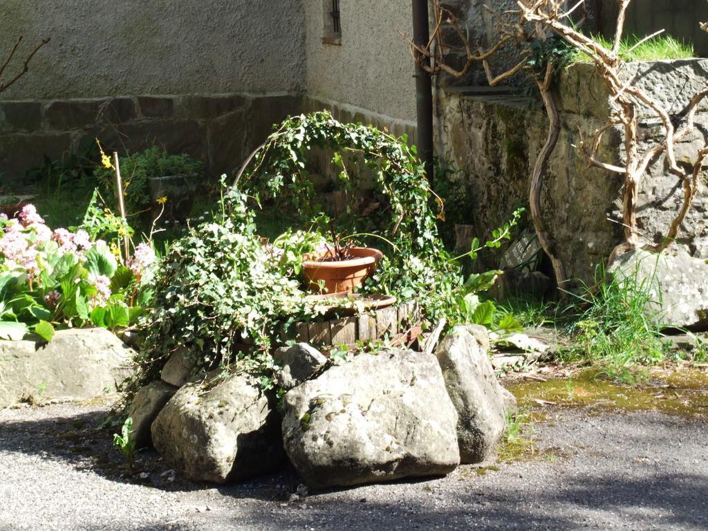 B&B Alle Ortensie Blu Sesta Godano Exteriör bild