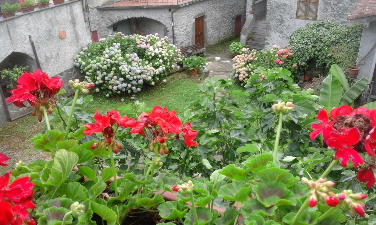 B&B Alle Ortensie Blu Sesta Godano Exteriör bild