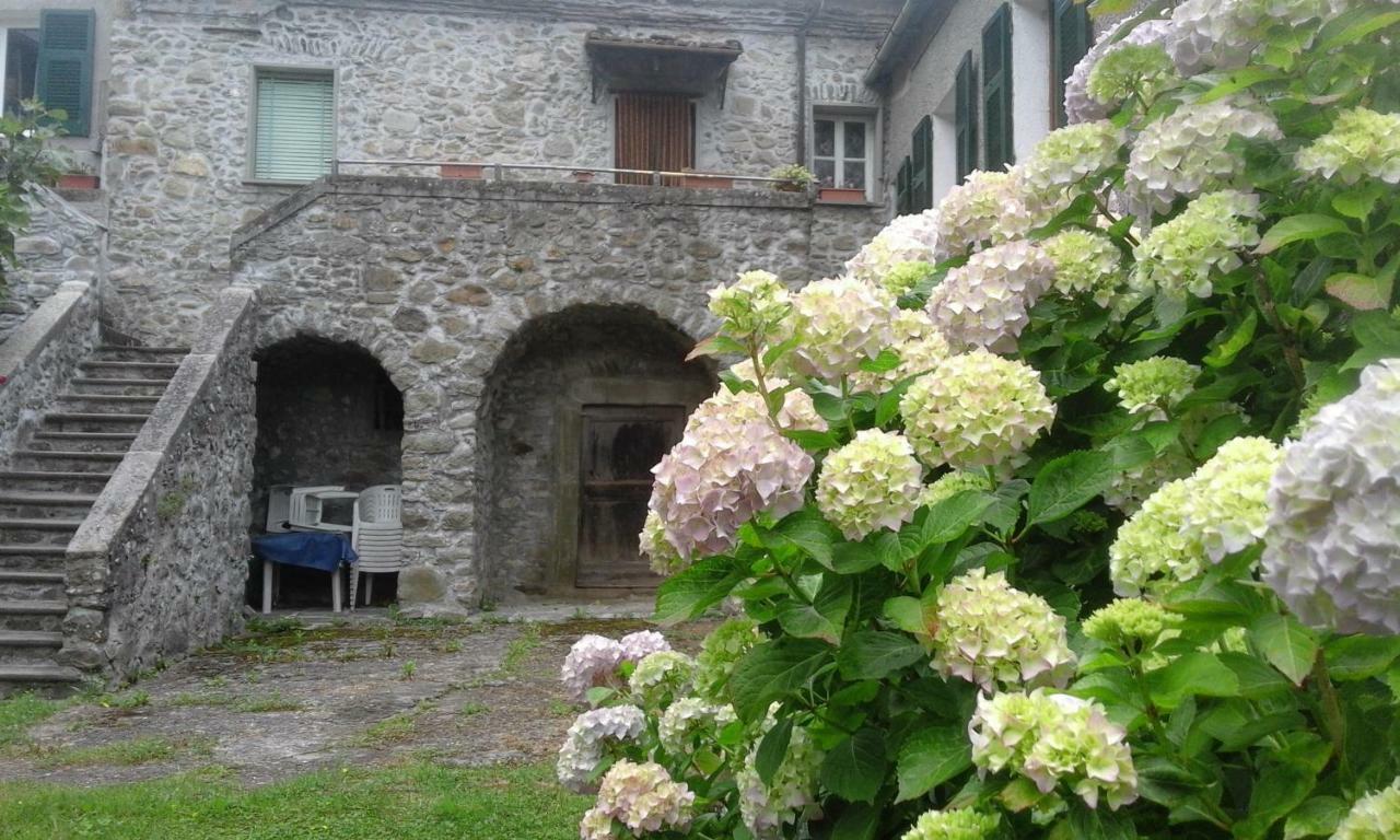 B&B Alle Ortensie Blu Sesta Godano Exteriör bild